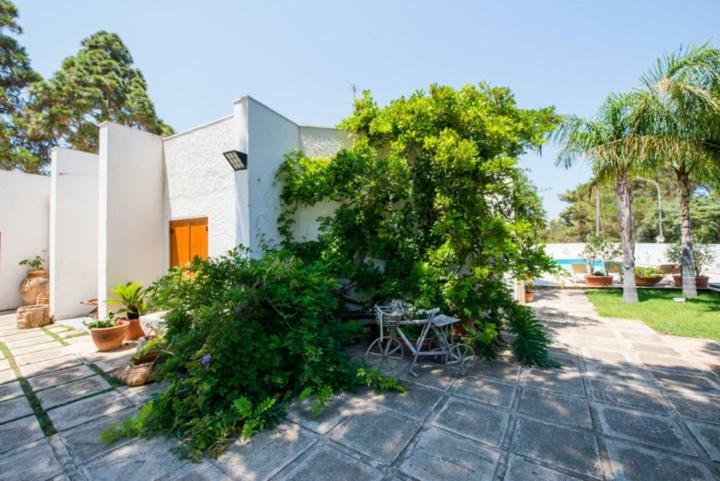 Villa Cancelliere 산비토로카포 외부 사진